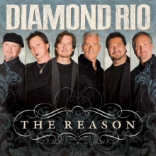 Cover art for The Reason