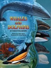 Cover art for Whales and Dolphins (At Your Fingertips (McClanahan))