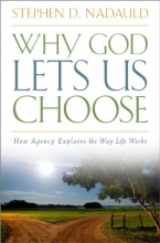 Cover art for Why God Lets Us Choose: How Agency Explains the Way Life Works