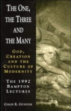 Cover art for The One, the Three and the Many (Bampton Lectures)