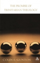 Cover art for The Promise of Trinitarian Theology