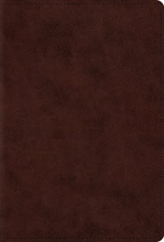 Cover art for The Psalms, ESV (TruTone, Brown)