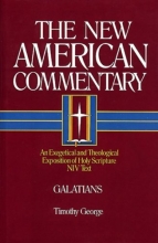 Cover art for The New American Commentary Volume 30  - Galatians