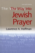 Cover art for The Way Into Jewish Prayer