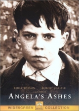 Cover art for Angela's Ashes