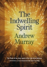 Cover art for The Indwelling Spirit: The Work of the Holy Spirit in the Life of the Believer