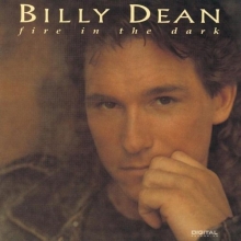 Cover art for Fire in the Dark