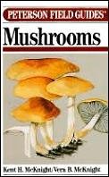 Cover art for A Field Guide to Mushrooms North America (Peterson Field Guides)