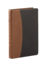 Cover art for NIV Compact Thinline Bible