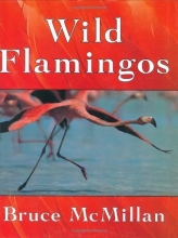 Cover art for Wild Flamingos
