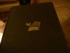 Cover art for International Standard Bible Encyclopaedia