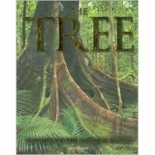 Cover art for Tree: Wonder of the World