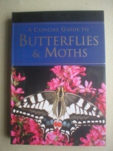 Cover art for A Pocket Guide to Butterflies & Moths