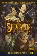 Cover art for The Seeing Stone (The Spiderwick Chronicles)