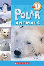 Cover art for Scholastic Reader Level 1: Polar Animals