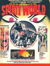 Cover art for Spirit World