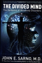 Cover art for The Divided Mind: The Epidemic of Mindbody Disorders