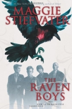 Cover art for The Raven Boys