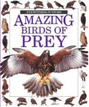 Cover art for Amazing Birds Of Prey (Eyewitness Juniors)