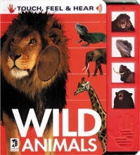 Cover art for Wild Animals: Touch, Feel, and Hear (Touch, Feel & Hear)