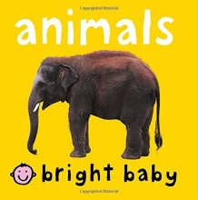 Cover art for Bright Baby Animals