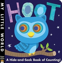 Cover art for Hoot: A Hide-and-Seek Book of Counting (My Little World)