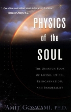 Cover art for Physics of the Soul: The Quantum Book of Living, Dying, Reincarnation and Immortality