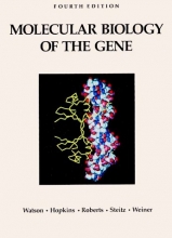Cover art for Molecular Biology of the Gene (4th Edition)