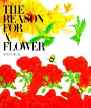 Cover art for The Reason for a Flower