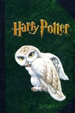 Cover art for Harry Potter Hedwig the Owl Journal