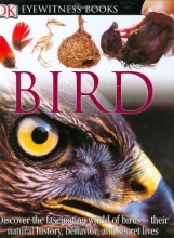 Cover art for Bird (DK Eyewitness Books)