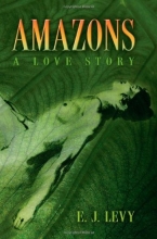 Cover art for Amazons: A Love Story