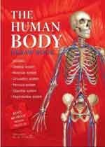 Cover art for Human Body Jigsaw Book