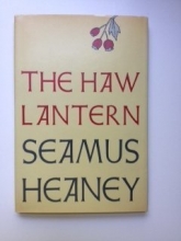 Cover art for The Haw Lantern