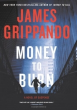Cover art for Money to Burn: A Novel of Suspense