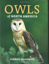 Cover art for Owls of North America