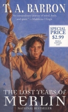 Cover art for The Lost Years of Merlin (Merlin #1)