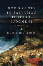 Cover art for God's Glory in Salvation through Judgment: A Biblical Theology