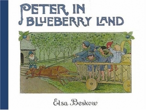 Cover art for Peter in Blueberry Land