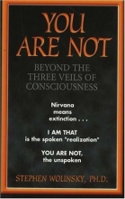 Cover art for You Are Not: Beyond the Three Veils of Consciousness