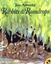 Cover art for Rabbits & Raindrops