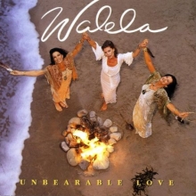 Cover art for Unbearable Love