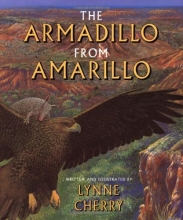 Cover art for The Armadillo from Amarillo