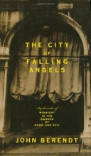 Cover art for The City of Falling Angels