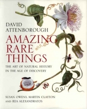 Cover art for Amazing Rare Things: The Art of Natural History in the Age of Discovery