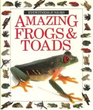 Cover art for Amazing Frogs & Toads (Eyewitness Juniors)
