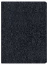 Cover art for Holman Study Bible: NKJV Edition, Black Genuine Leather