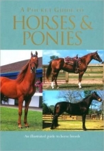 Cover art for A Pocket Guide To Horses and Ponies