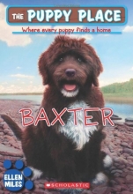 Cover art for The Puppy Place #19: Baxter