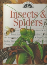 Cover art for Insects & Spiders (Discoveries)